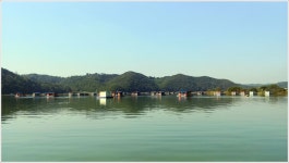 어신 > 한달만에 다시 찾은 송전지 평택좌대 : 낚시사랑