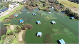 어신 > 한달만에 다시 찾은 송전지 평택좌대 : 낚시사랑