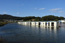 에이케이 > 연곡낚시터 가을낚시... : 낚시사랑