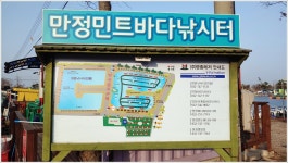 어신 > 대박과 쪽박이 함께한 영종낚시터 : 낚시사랑