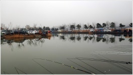 어신 > 대박과 쪽박이 함께한 영종낚시터 : 낚시사랑