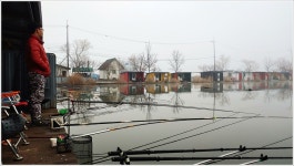 어신 > 대박과 쪽박이 함께한 영종낚시터 : 낚시사랑