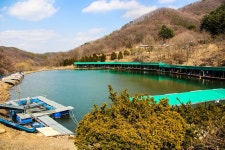 감/쟈 > 산속의 힐링대물터 파주 금곡낚시터 : 낚시사랑