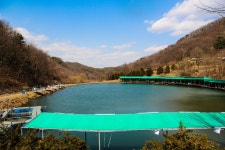 감/쟈 > 산속의 힐링대물터 파주 금곡낚시터 : 낚시사랑