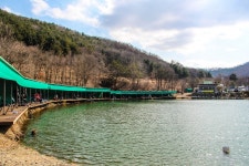 감/쟈 > 산속의 힐링대물터 파주 금곡낚시터 : 낚시사랑