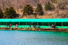 감/쟈 > 산속의 힐링대물터 파주 금곡낚시터 : 낚시사랑