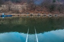 감/쟈 > 산속의 힐링대물터 파주 금곡낚시터 : 낚시사랑