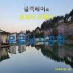 블랙배어 > 블랙베어의 유료터 조행기 - 포천 우금 낚시터 : 낚시사랑