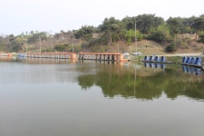 카카모토 > 허프로 밤밭낚시터 조황정보 : 낚시사랑