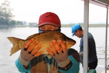 카카모토 > 허프로 조황정보 밤밭낚시터 팩트체크 실전 낚시후기 : 낚시사랑