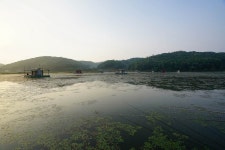 강태산 > 연천의 대표저수지 백학저수지 6월 낚시여행 : 낚시사랑