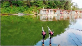 어신 > 향붕어 전용 포천 동교낚시터에서 노지 전문가와 양어장 전문가의 대결 결과는? : 낚시사랑