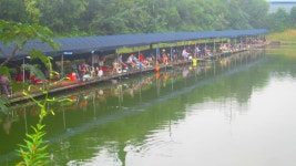 로치 > 양주 삼하낚시터..여름 휴가철 가까운 수도권 낚시터에서 힐링~!! : 낚시사랑