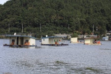 바다하늘산 > 어우실낚시터의 추억(秋憶) ... 2020.9.26 ~ 9.27 ... : 낚시사랑