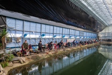 감/쟈 > 김포 이화낚시터 개장날 : 낚시사랑