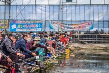 감/쟈 > 김포 이화낚시터 개장날 : 낚시사랑