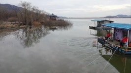 죽림 > 충남 아산. 안골낚시터 떼붕어 : 낚시사랑