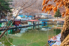 감자 > 안성 성주리낚시터 : 낚시사랑