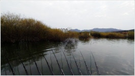 어신 > 송전지 관광좌대 : 낚시사랑