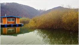 어신 > 송전지 관광좌대 : 낚시사랑