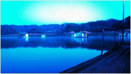 어신 > 충주호 제일낚시터 : 낚시사랑