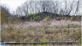 어신 > 원주 서곡낚시터 : 낚시사랑