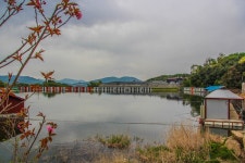 감자 > 저 푸른 초원위에~ 포천 초원낚시터 : 낚시사랑