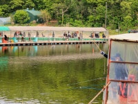 청춘어락 > 화성 신촌낚시터스케치 : 낚시사랑