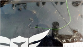 어신 > 박암리 둠벙의 강촌 낚시터 : 낚시사랑