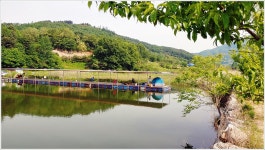어신 > 박암리 둠벙의 강촌 낚시터 : 낚시사랑