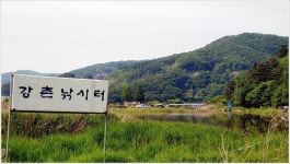 어신 > 박암리 둠벙의 강촌 낚시터 : 낚시사랑