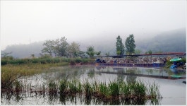 어신 > 박암리 둠벙의 강촌 낚시터 : 낚시사랑