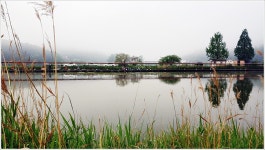 어신 > 박암리 둠벙의 강촌 낚시터 : 낚시사랑