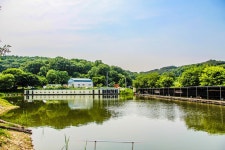 감자 > 화성 당골낚시터~파워풀 향붕어낚시 : 낚시사랑