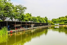 감자 > 화성 당골낚시터~파워풀 향붕어낚시 : 낚시사랑