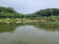 8당붕어 > 연천 백학지 한방터? : 낚시사랑