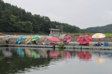 은물결2 > 15척이 갑!! : 낚시사랑