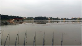 어신 > 삼성지 낚시터의 붕어들 : 낚시사랑