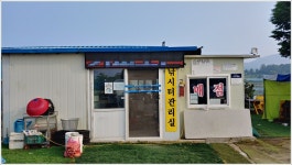 어신 > 삼성지 낚시터의 붕어들 : 낚시사랑