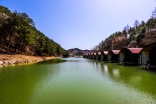 청춘어락 > 안흥 낚시 공원 : 낚시사랑