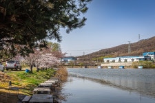 예담2 > 아산 신봉지 : 낚시사랑