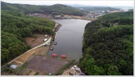 어신 > 삼인 낚시터에는 돌고래가 산다. : 낚시사랑