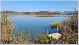 어신 > 찬바람속의 이천 성호낚시터 : 낚시사랑