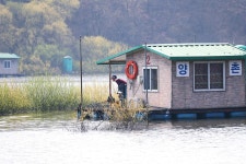 노아주 > 쏟아지는 4짜 대물들 양촌좌대 : 낚시사랑
