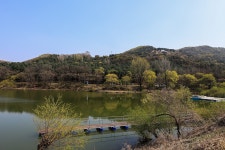 청춘어락 > 장계 낚시터 개장 하였습니다. : 낚시사랑