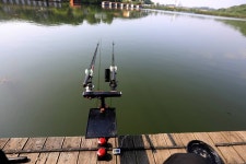 붕어도인 > 용인 삼인낚시터의 대물 붕어들~ : 낚시사랑