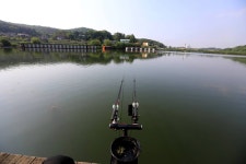 붕어도인 > 용인 삼인낚시터의 대물 붕어들~ : 낚시사랑