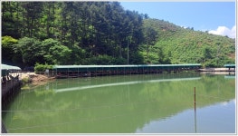 어신 > 대명낚시터에서의 물돼지 사냥 : 낚시사랑