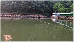 어신 > 대명낚시터에서의 물돼지 사냥 : 낚시사랑