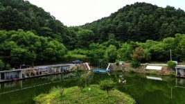 붕어도인 > 향어들이 떼를 지어 무섭게 덤벼드는 가평 도장골낚시터 : 낚시사랑